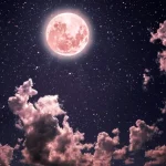 نامت را به ماه بفرست؛ آغاز کمپین جهانی ناسا