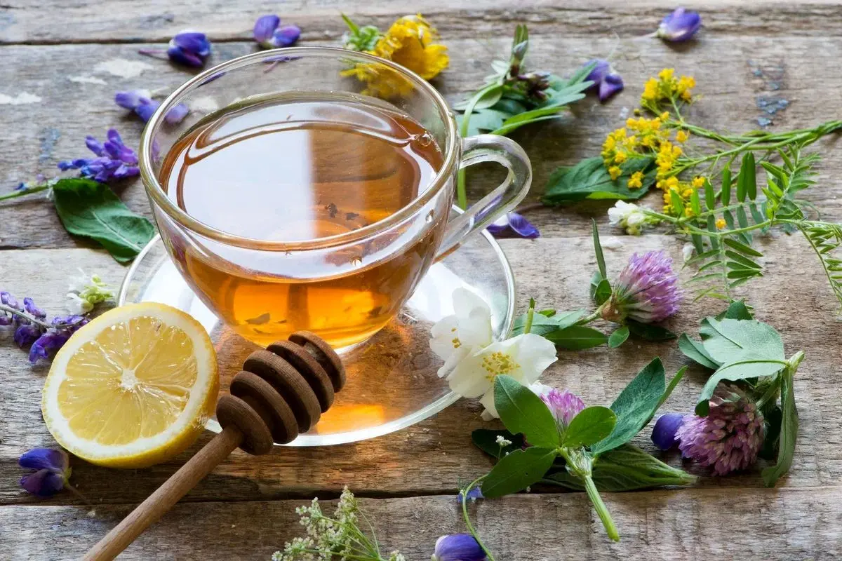 Wp Header Logo 410.png