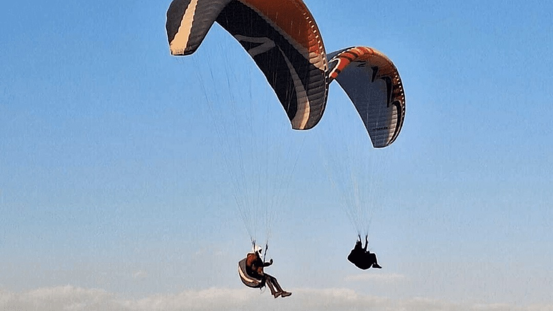 Wp Header Logo 554.png