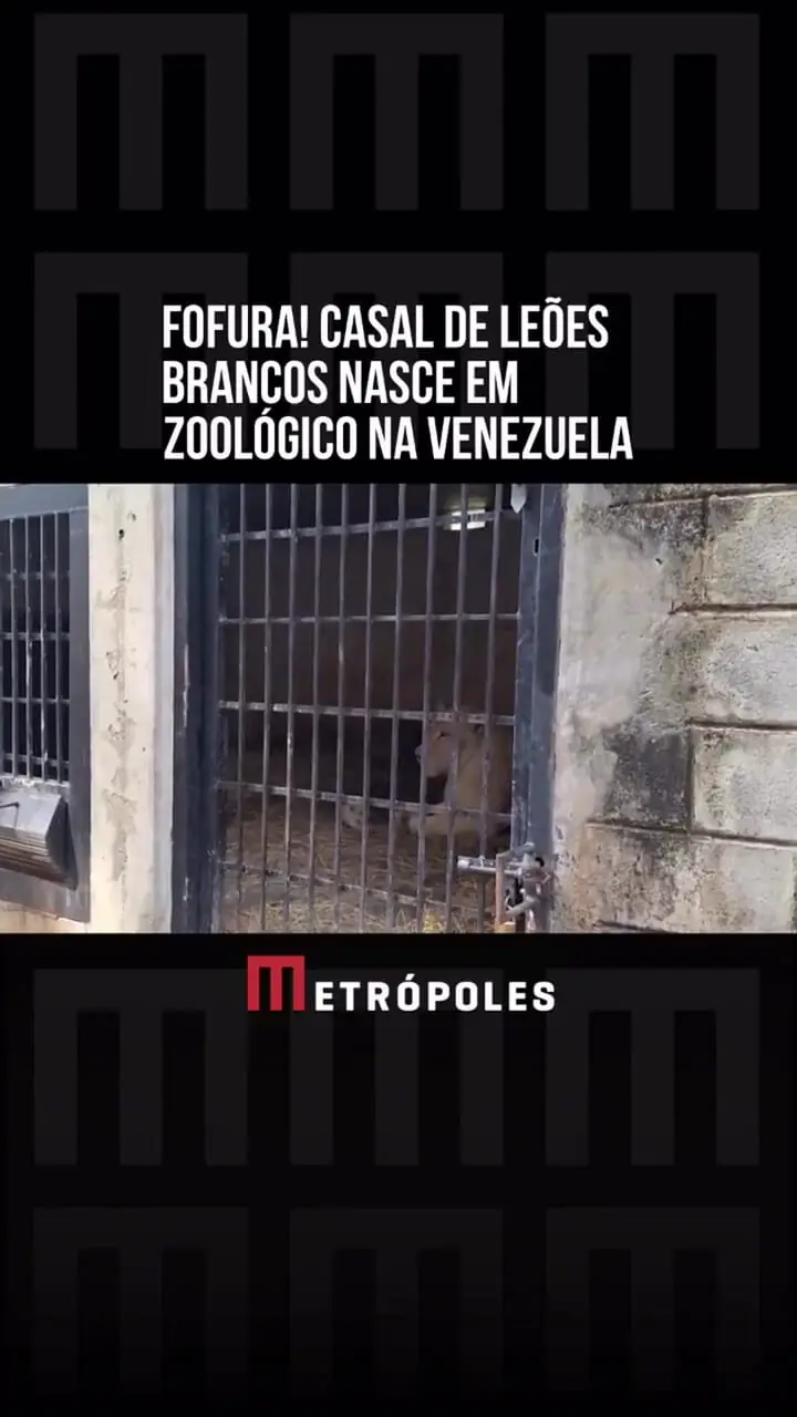 Wp Header Logo 586.png