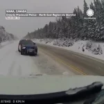 مامور پلیس کانادا با «جاخالی» به موقع از مرگ نجات یافت