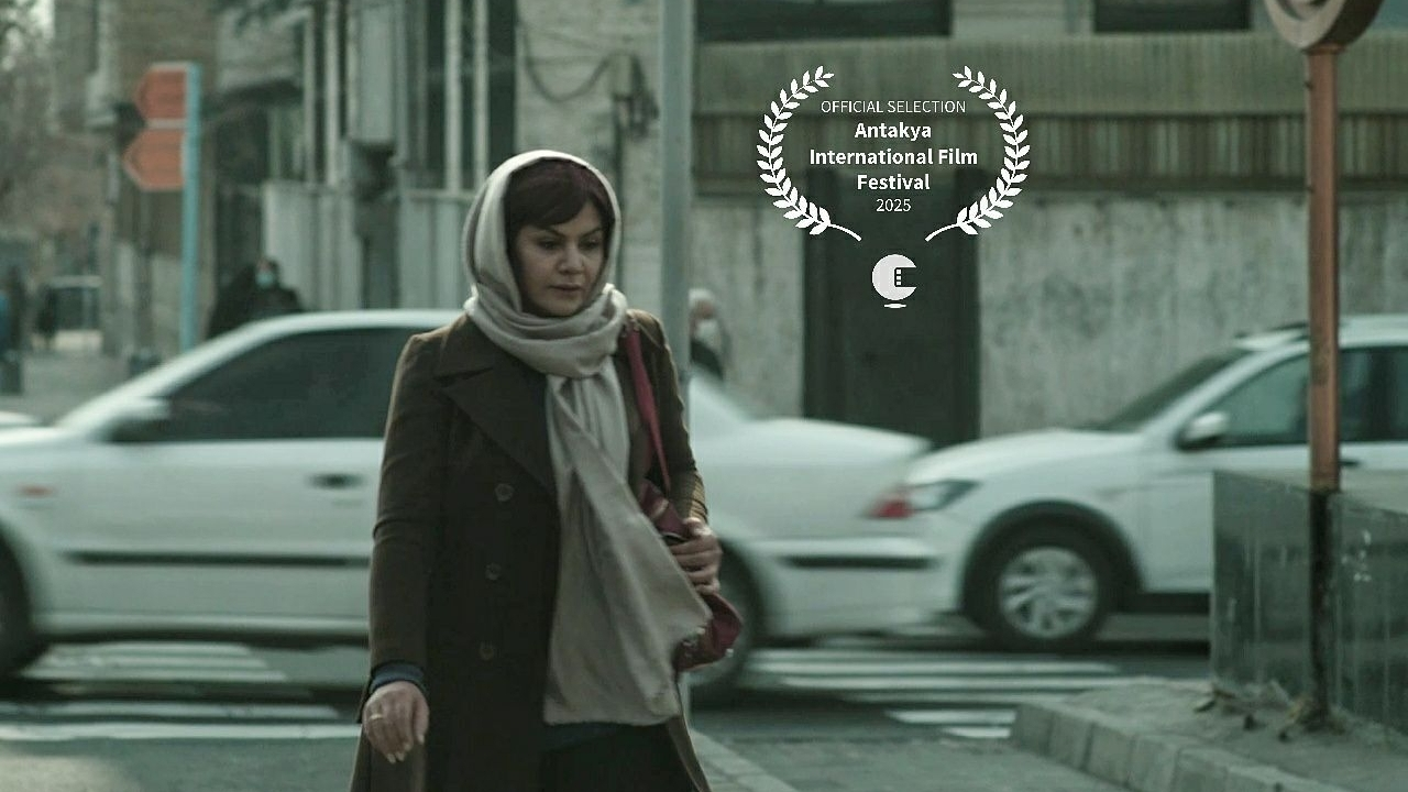 Wp Header Logo 806.png